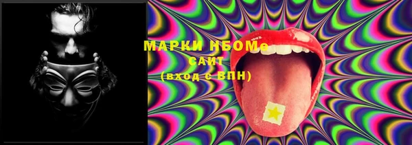 индика Покачи