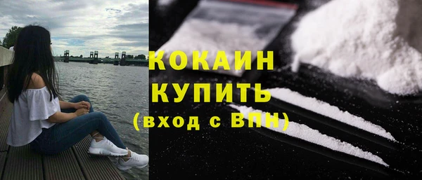 индика Покачи