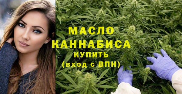 индика Покачи