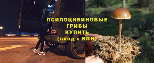 индика Покачи