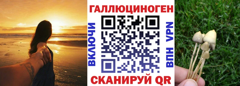 гидра ONION  Красково  Псилоцибиновые грибы GOLDEN TEACHER 